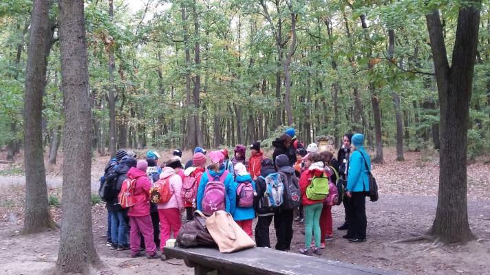Jak ukázat žákům cestu k přírodě blízkým lesům představí v Brně seminář FSC ČR pro pedagogy