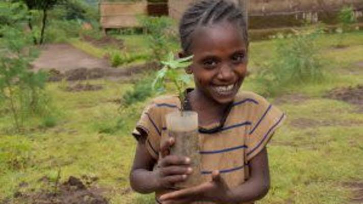 V Etiopii se místní obyvatelé učí lépe starat o svou krajinu
