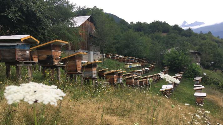 ČRA pomáhá gruzínským včelařům