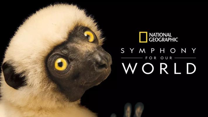 Koncerty National Geographic zkombinují hudbu s přírodou