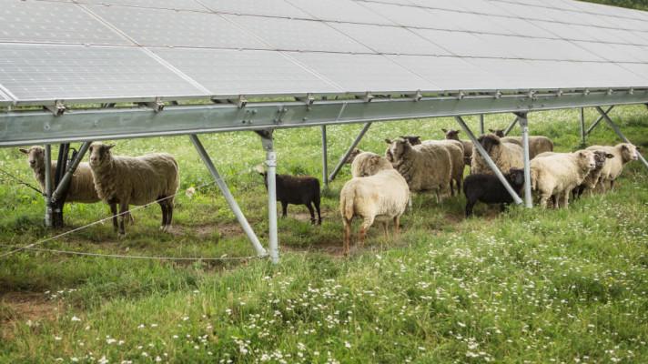 Atomová Francie se otevírá solární energetice. Česko má  podobou šanci už příští týden