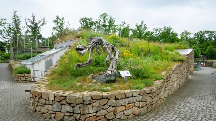 Zoo Hluboká inspiruje, jak bojovat proti suchu a přehřívání