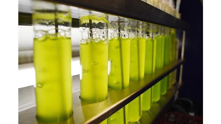 Kde je budoucnost biopaliv?