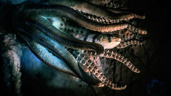 Velkochovy chobotnic: recept na katastrofu