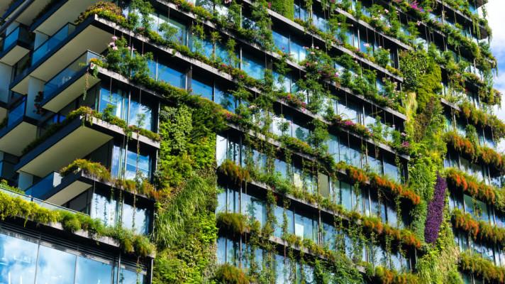 Udržitelnost má zelenou: Jak učinit města ekologičtějšími?
