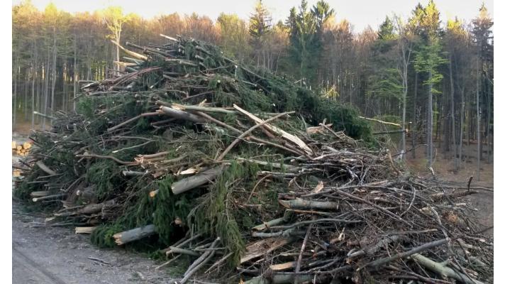 Ohrožuje využívání zbytků po těžbě stromů zásoby živin v lesních půdách?