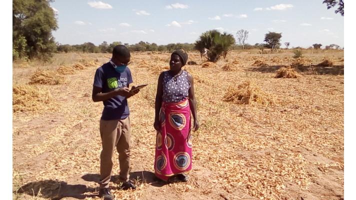 Mobilní aplikace podpořená ČRA pomáhá zambijským farmářům lépe odolávat klimatickým změnám