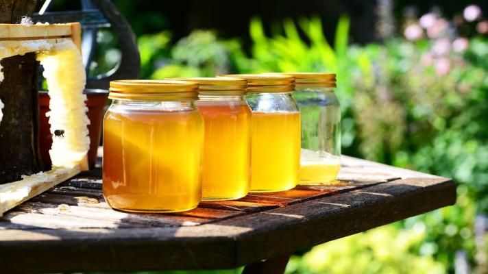 Odhalit falešný včelí med bude snazší. Výzkumníci z VÚRV a PřF UK vyvinuli metodu, jak odlišit specifické proteiny pravého medu od náhražek