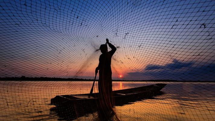 AFP: Testují se inteligentní rybářské sítě, jež zabrání výlovu nechtěných druhů