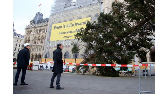 Vánoční stromky zatopí 2 700 vídeňským domácnostem