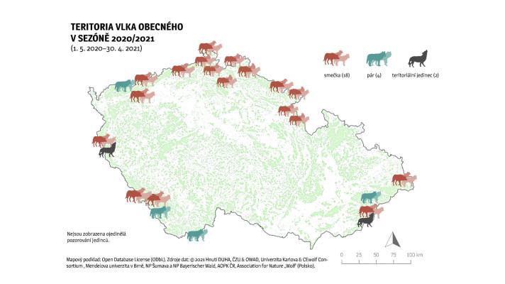 Počet vlčích teritorií se v Česku rozrostl o dvě, potvrdil každoroční monitoring