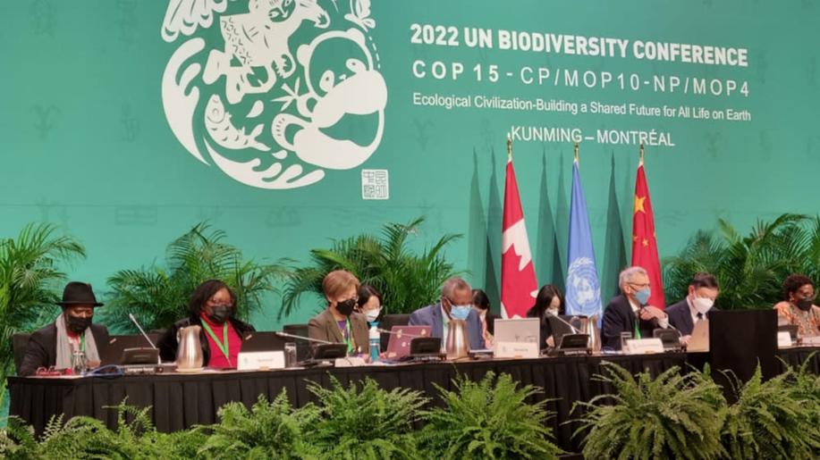 V Montrealu začíná ministerské jednání, má domluvit dohodu o ochraně živé přírody