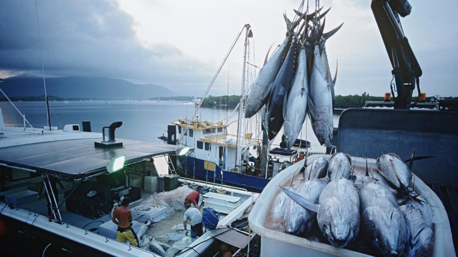 Ministři zemědělství a rybolovu EU se dohodli na rybolovných právech na příští rok