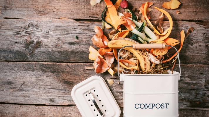 Mezinárodní týden kompostování: Komposty z bioodpadů pomáhají zvyšovat kvalitu půdy