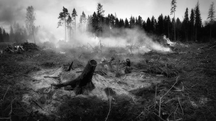 Počet požárů v přírodě v Česku byl letos v březnu dosud nejvyšší