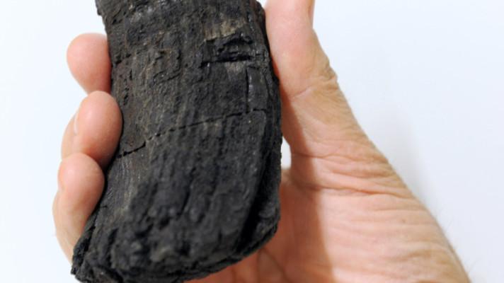 Vědci našli obří zub gigantického ichtyosaura, největší kdy objevený