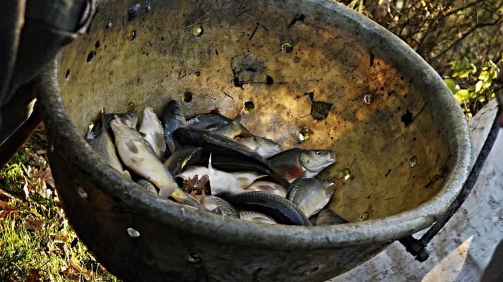 AGRIFISH: Ministři vyzvali Komisi, aby rychle schválila strategické plány a dohodli se na závěrech k akvakultuře
