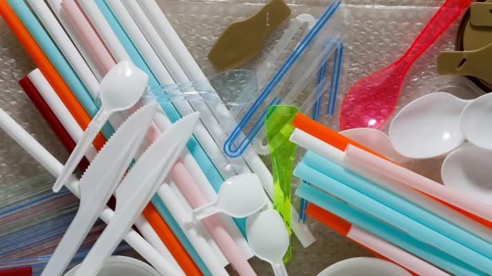 Sněmovna má schvalovat zákaz plastů