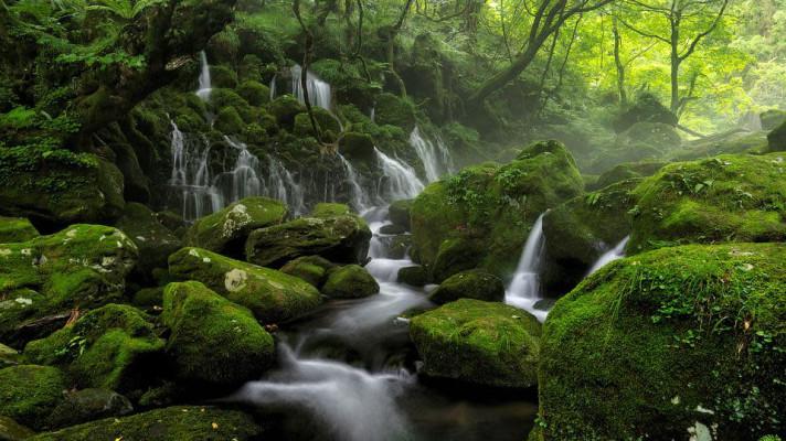 Odborníci hledají způsoby zadržení vody v lese, dříve musela rychle odtéct