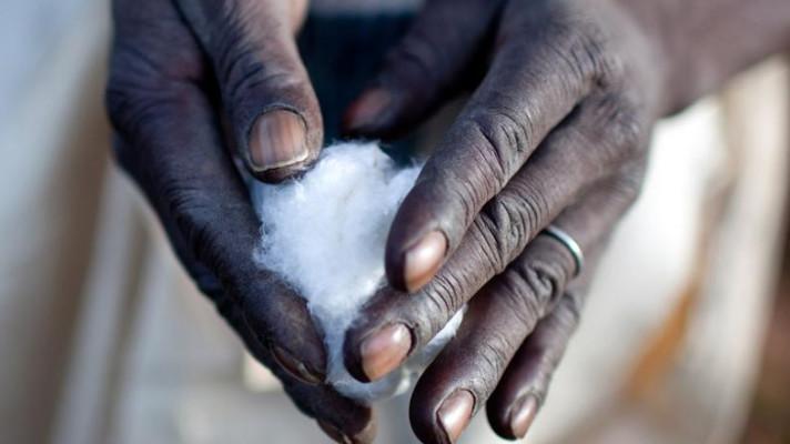 7. října - Světový den bavlny