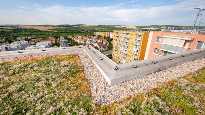 Finálové projekty Adapterra Awards 2022 - Zelená střecha na panelovém domě v Brně