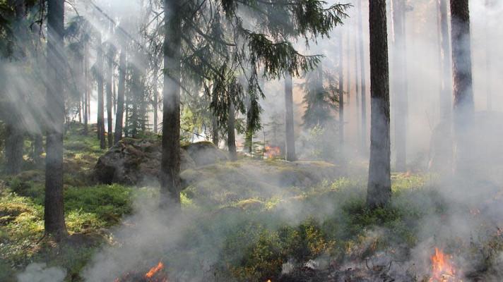 Hasiči kvůli požáru v NP České Švýcarsko evakuují desítky lidí z obce Mezná