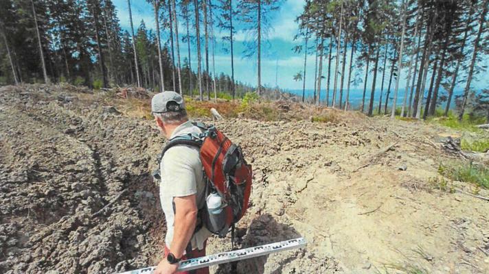 Děsivá devastace lesů v NP Šumava. Správa parku zastavila těžbu a vyšetřuje viníky