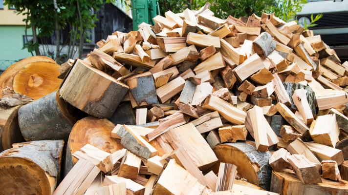 Pomoc Lesů ČR s energetickou krizí: Každý občan si může koupit až 35 metrů krychlových dřeva. Prodává se v každém kraji