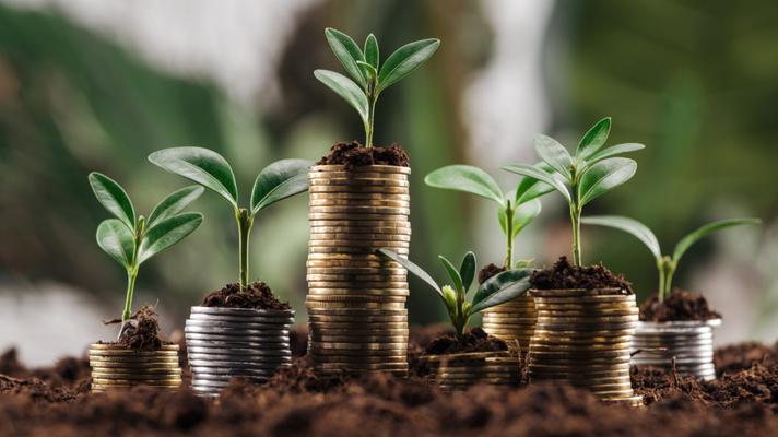 Průzkum: Tři čtvrtiny českých investorů chtějí investovat jen do zelených firem