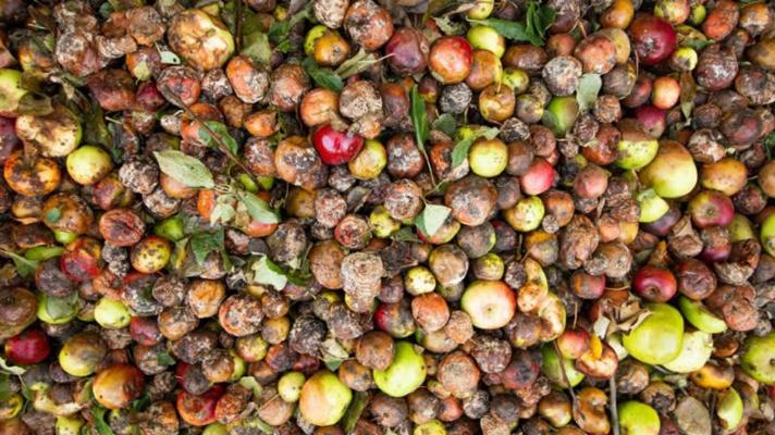 EU Commission under pressure to take on food waste scandal