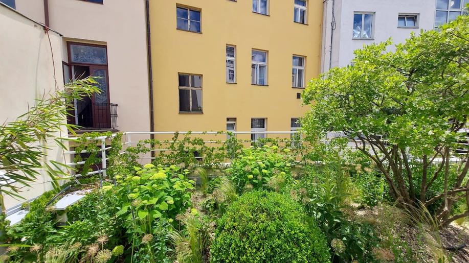 Pestrou zelenou střechu v Truhlářské ulici zdobí bílé i fialové kvítí