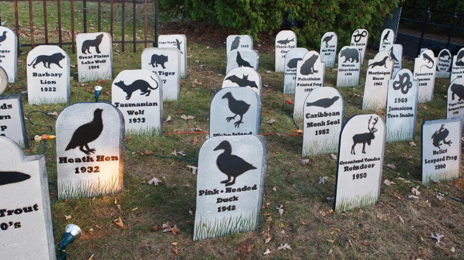 Nová vyhláška zpřesňuje pravidla pro ukládání uhynulých zvířat na zvířecích hřbitovech i na vlastním pozemku