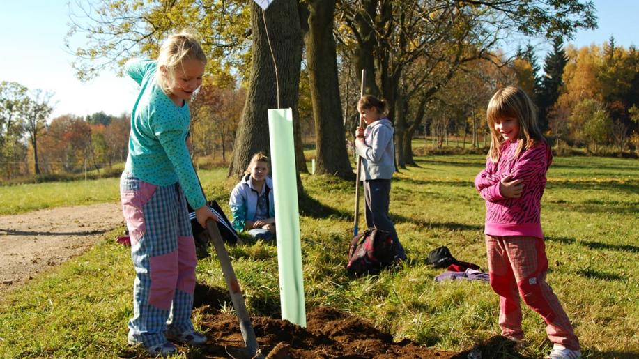 Děti našly místa pro výsadbu stromů, letos budou sázet