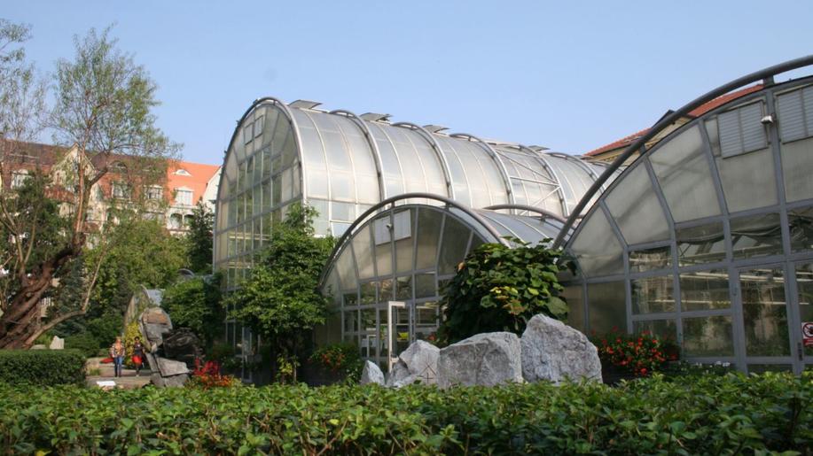 V botanické zahradě v Brně jsou k vidění sukulenty z celého světa