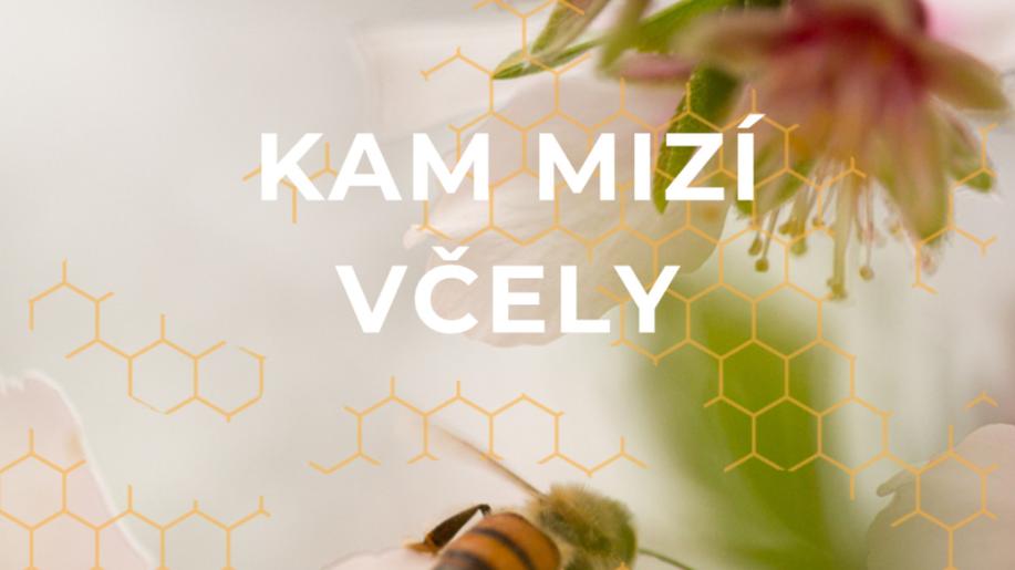 Konference Zdraví a vitalita včelstev v Mendelově muzeu: Nové pohledy na péči a ochranu našich nejvýznamnějších opylovatelů