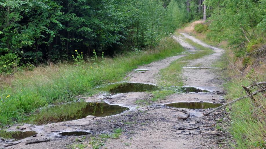 Jak omezit povrchový odtok vody na lesních cestách