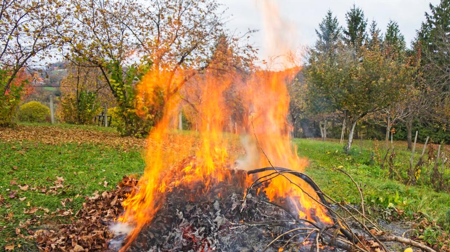 V Praze bude zakázáno spalování suchého rostlinného materiálu
