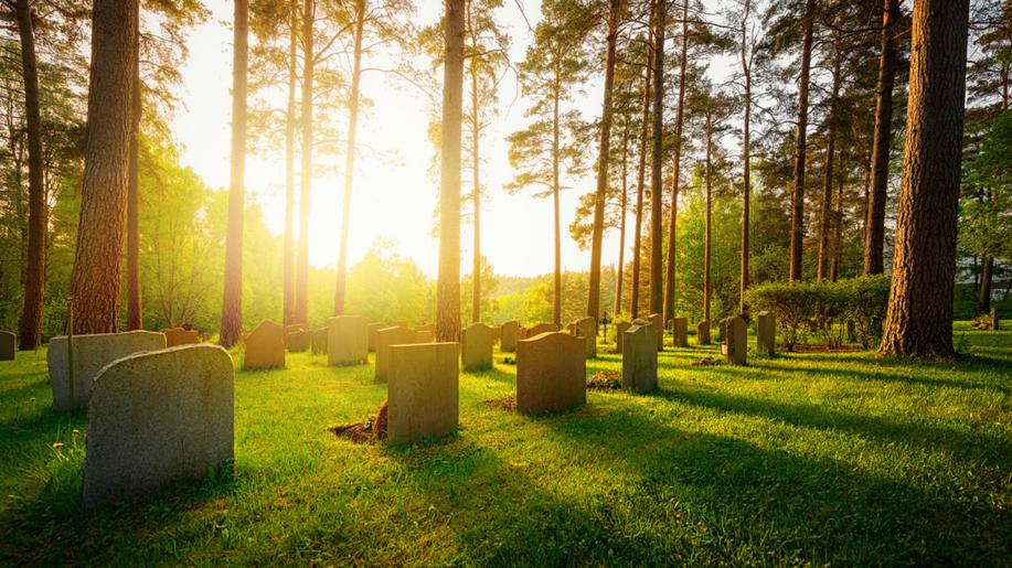 Na pražském Ďáblickém hřbitově vzniklo ekologické pohřebiště s loukou