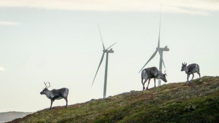 Sámové demonstrovali v Oslu proti větrné elektrárně