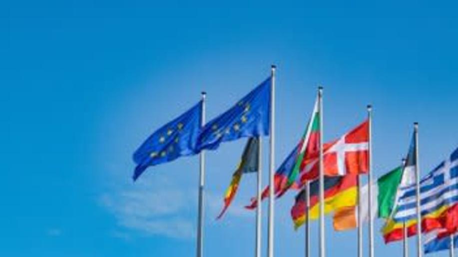 EKOLAMP: Hájíme zájmy výrobců v Evropě
