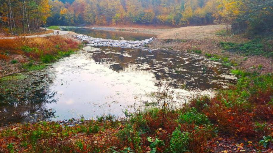 Lesy ČR obnovily na jižní Moravě tři vodní nádrže a vrátily vodu lesům