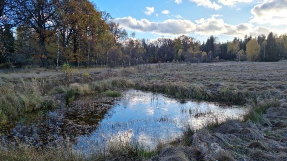 Vojenské lesy s AOPK zadržují v Brdech vodu, na Padrťských pláních přibylo další 11 tůní