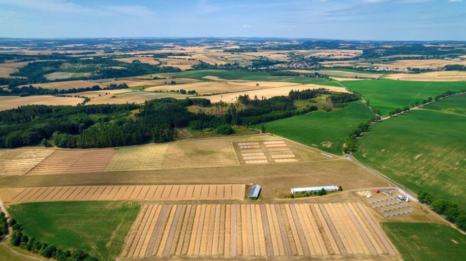 České zemědělství a lesnictví by mělo ukládat více uhlíku, usilují vědci