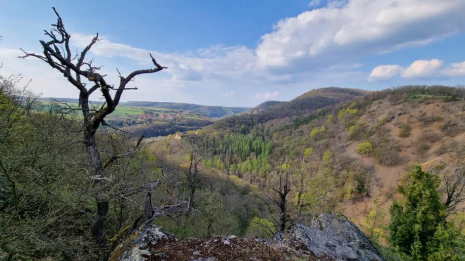 Národní park Křivoklátsko bude přínosem pro přírodu i obce v regionu