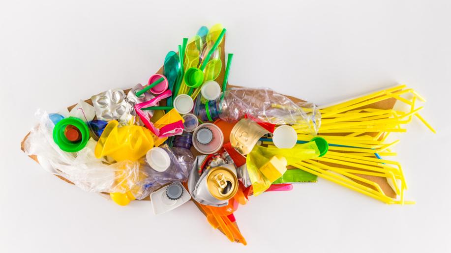 Vyhláška k zákonu o omezení jednorázových plastů