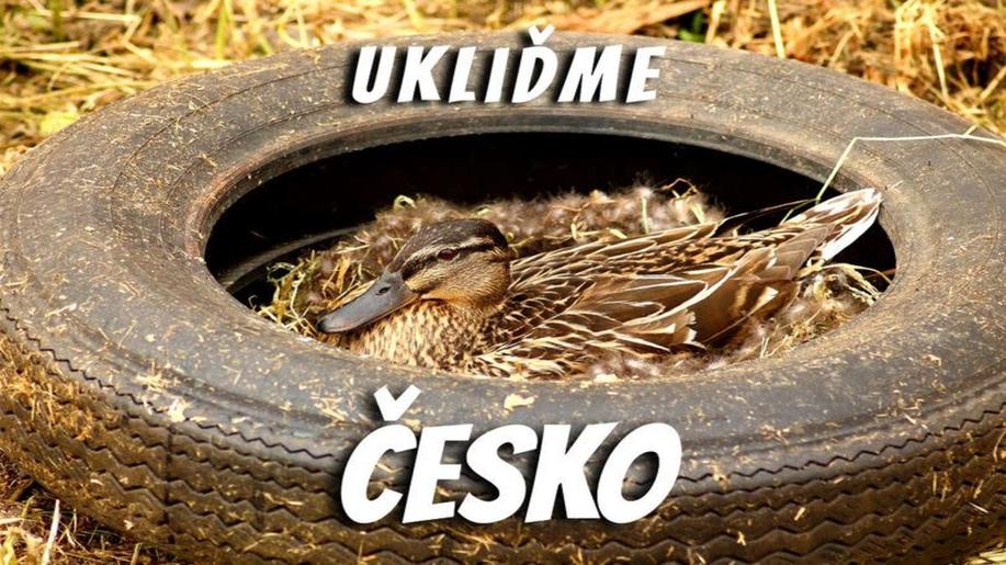 Novinkou při letošní akci Ukliďme Česko je zakládání hnízd pro ptáky