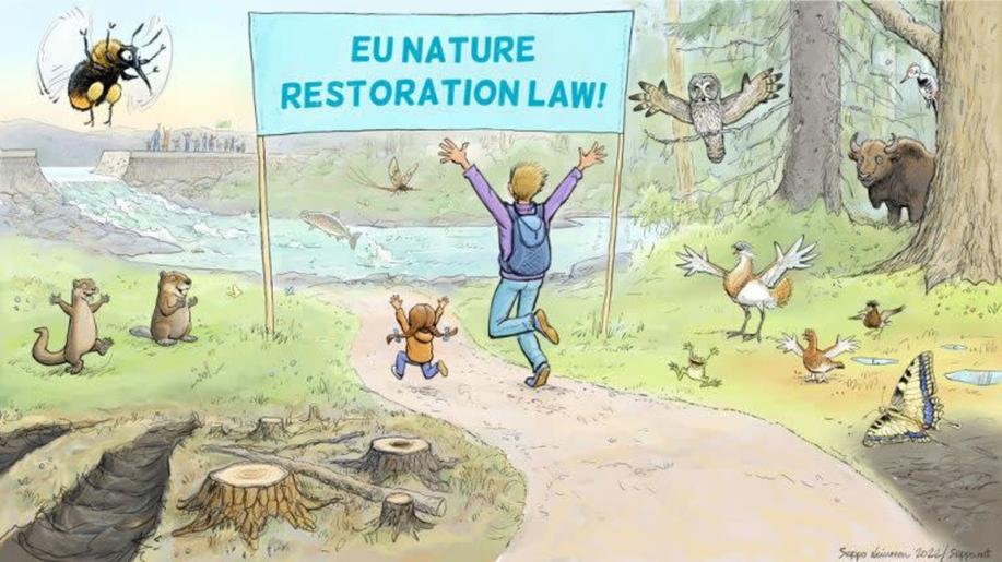 Je čas na obnovu přírody, žádáme europoslance. Přidáte se?