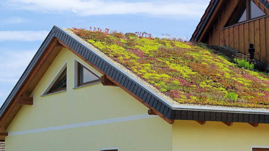 Domy Na Žižkově budou mít zelenou střechu, jde o první takový projekt Liberce