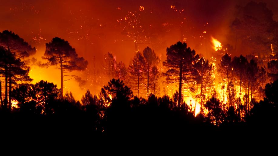 Kouř z lesních požárů v Kanadě se rozšířil až do Norska