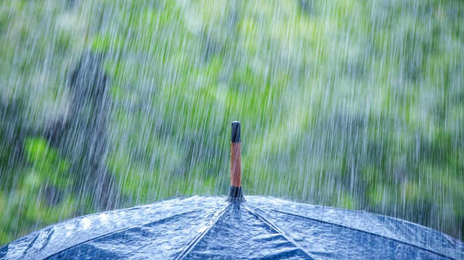 Výzkum: Dešťovou vodu zachytává 90 procent domácností, hlavně kvůli úspoře
